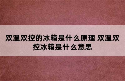 双温双控的冰箱是什么原理 双温双控冰箱是什么意思